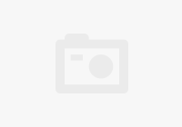 Рисовая диета